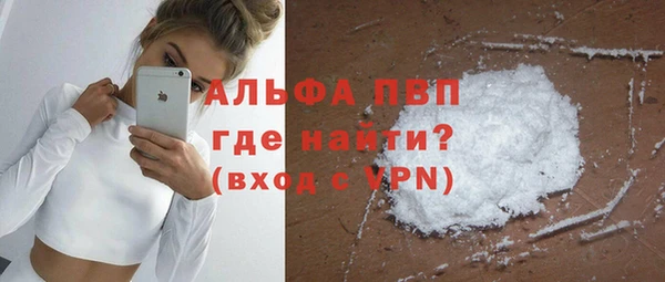 индика Аркадак