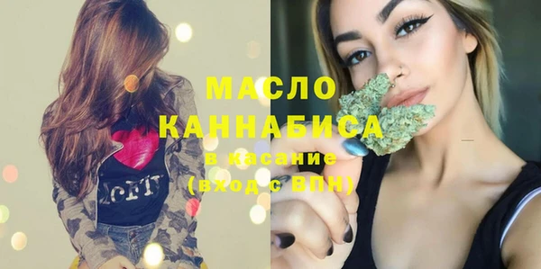 индика Аркадак