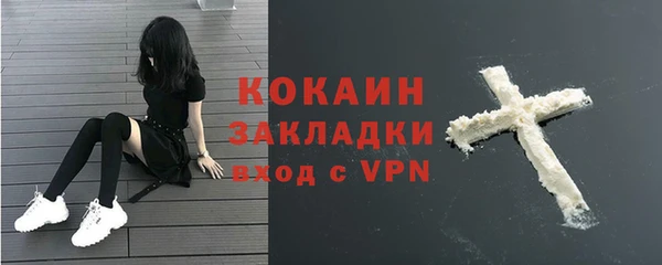 индика Аркадак