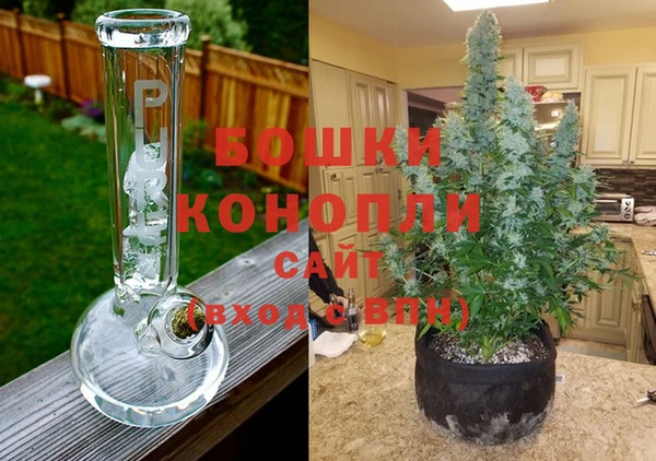 ПСИЛОЦИБИНОВЫЕ ГРИБЫ Баксан