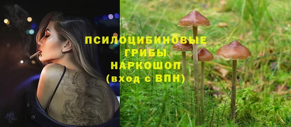 индика Аркадак