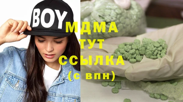 индика Аркадак
