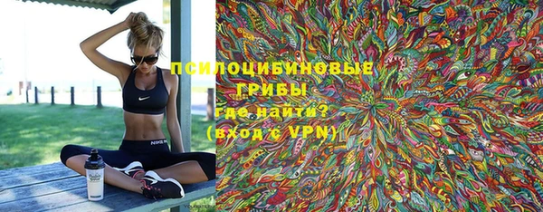 ПСИЛОЦИБИНОВЫЕ ГРИБЫ Баксан
