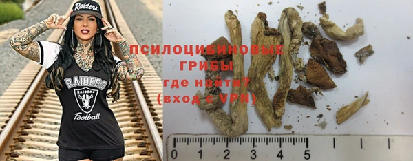 ПСИЛОЦИБИНОВЫЕ ГРИБЫ Баксан